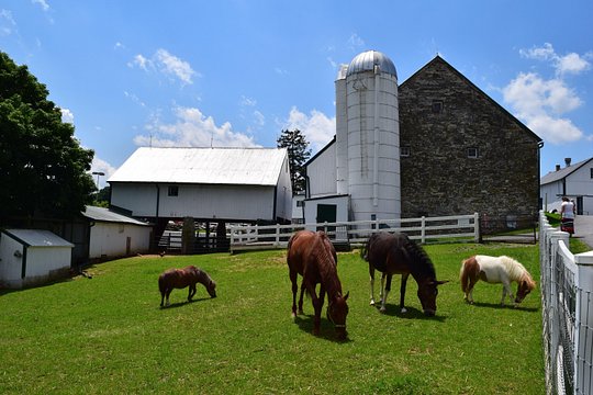 Tour image 5