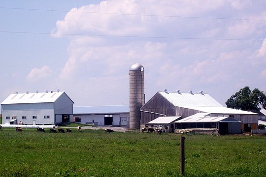 Tour image 6